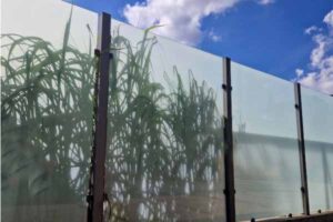 Schallschutz zum Nachbarn in Kombination mit Sichtschutz